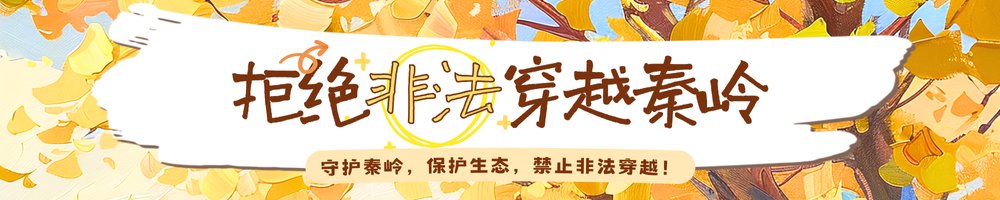 宝鸡市宝福路56号（宝福路校区） 蟠