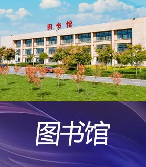 网络信息安全办公室）合署办公